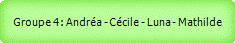 Groupe 4 : Andra - Ccile - Luna - Mathilde